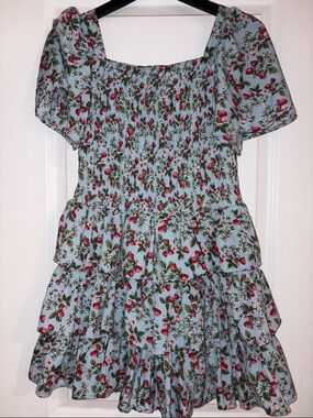 Pastourelle Light Blue Floral Mini Dress with Red Berry Print